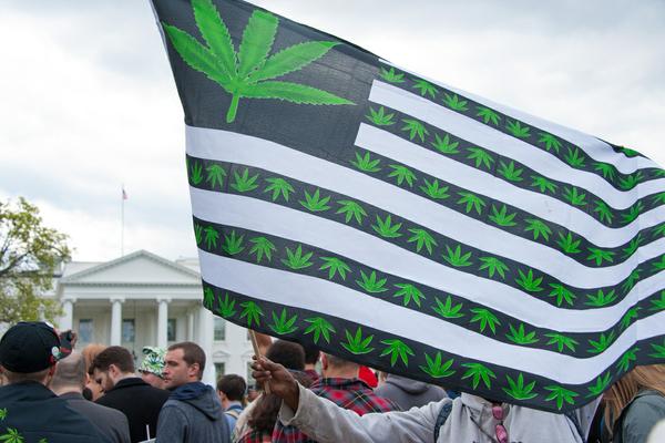 Cannabis 2020 Election