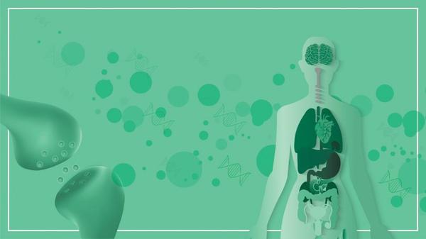 Cannabinoid Receptors: What They Are and How They Work