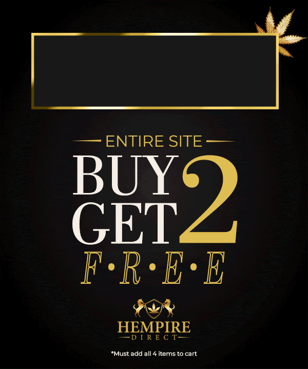 ENTIRE SITE: BUY 2 GET 2 FREE