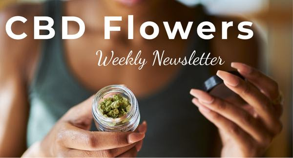 The CBD Flowers Weekly Newsletter