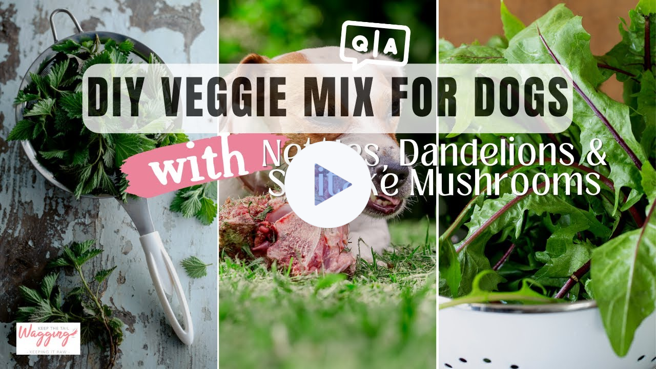 Veggie Mix for Dogs with Stinging Nettles, Dandelions and Shiitake Mushrooms