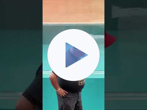 tomthemime antics eyeof the tiger #music #guitarsolo #hardrock #tomthemime #funny #reels #seaworld