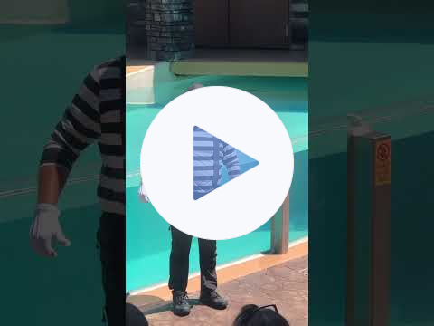 Tom the famous SeaWorld mime