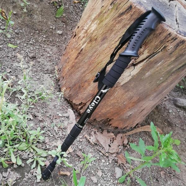 Bastón de andinismo