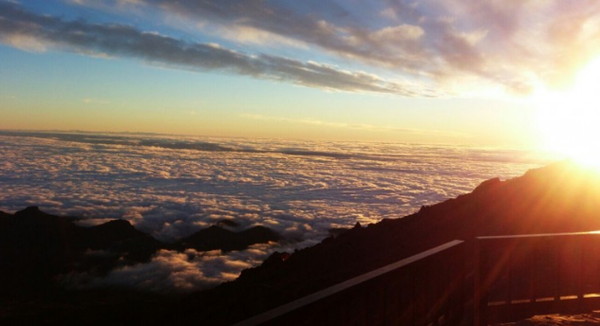 Descubrimientos de esta semana