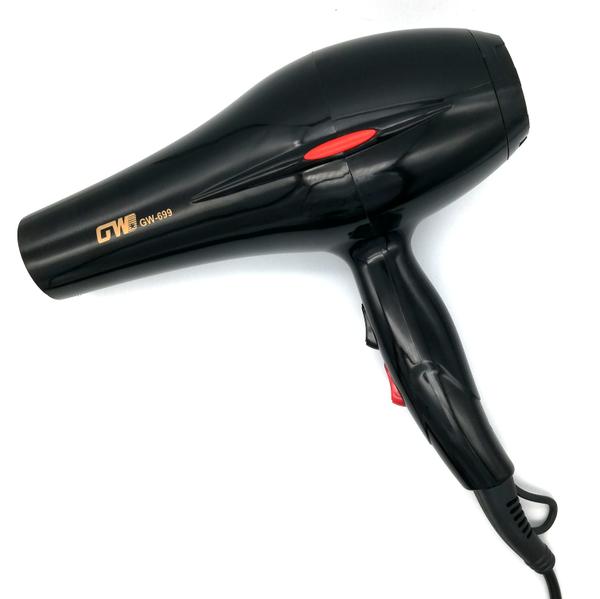 Secadora de pelo GW-699