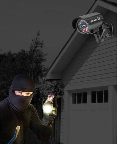 Cámara de Vigilancia Simulada