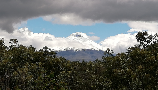 Novedades de esta semana