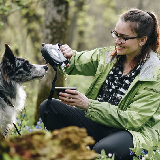 Correa de perro con agua