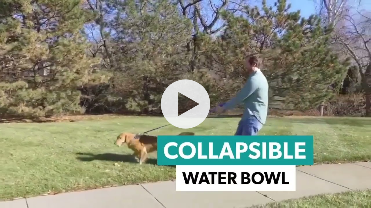 Correa de Perro con Recipiente de Agua, www comprasin com