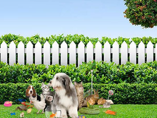 Cerca de Madera para Jardín