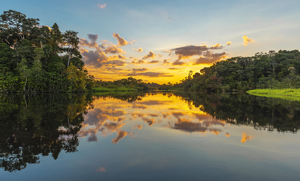 Atarceder en el Yasuni