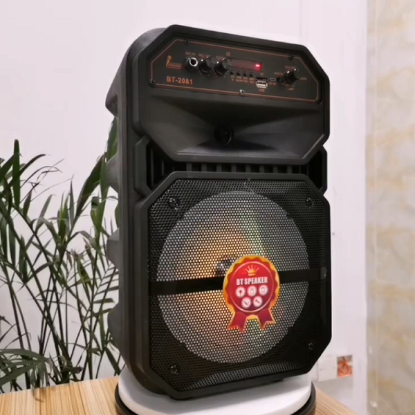 Speaker BT-2081