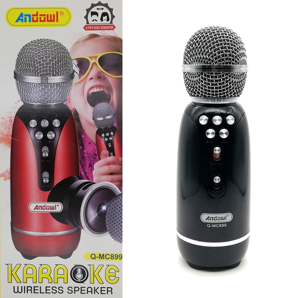 Karaoke parlante Andowl Q-MC899