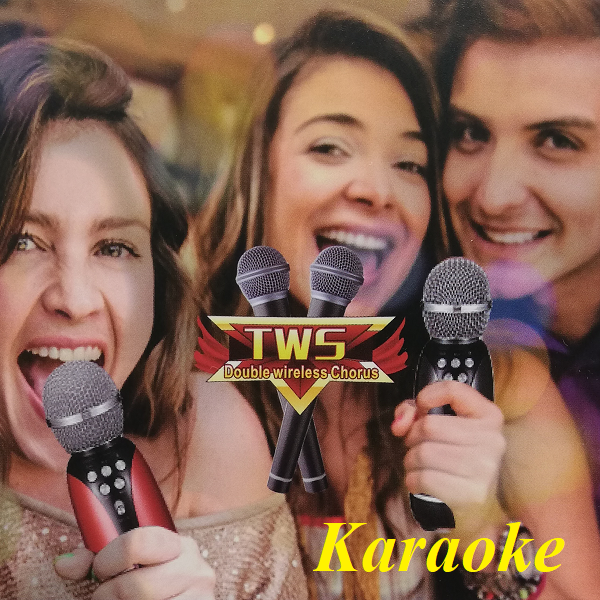 Karaoke parlante Andowl Q-MC899