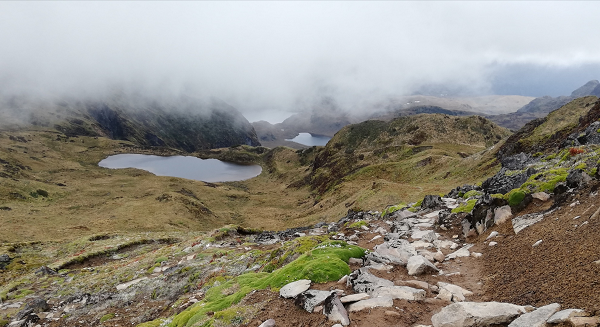 Reserva Cayambe -Coca