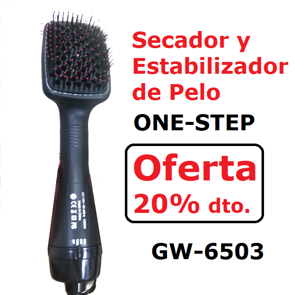 Secador y Estilizador de Pelo GW-6503