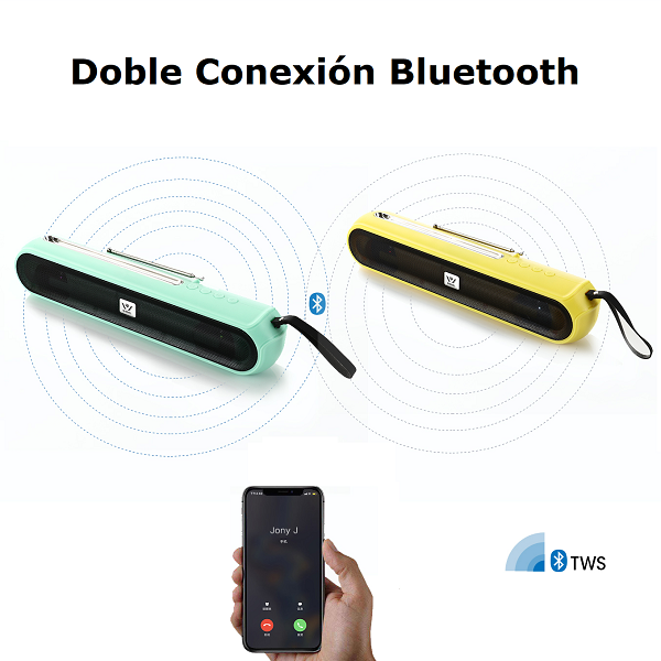 Parlante Daniu WSA-860