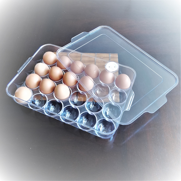 Bandeja de 24 huevos