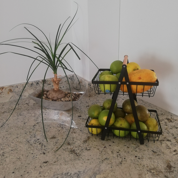 Canasta de Frutas Metálica de Dos Niveles