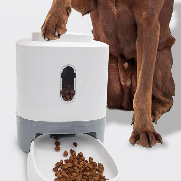 Comedero automático para perros y gatos