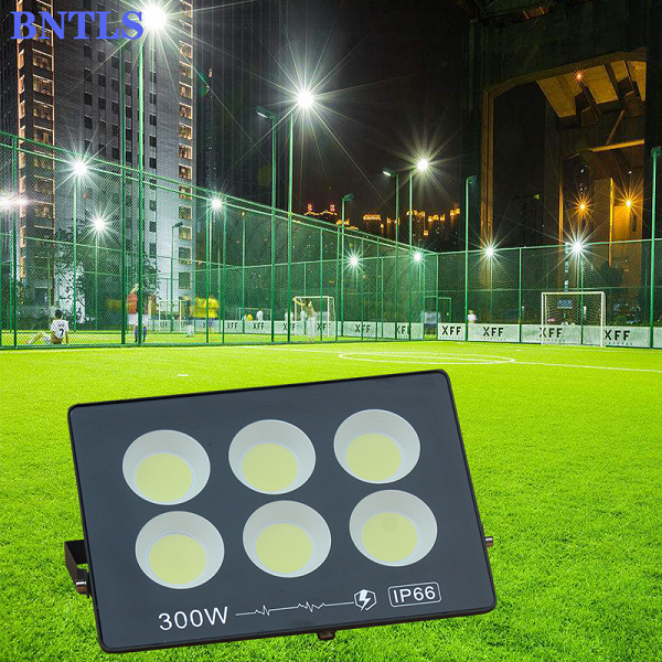 Reflector 300w 110v