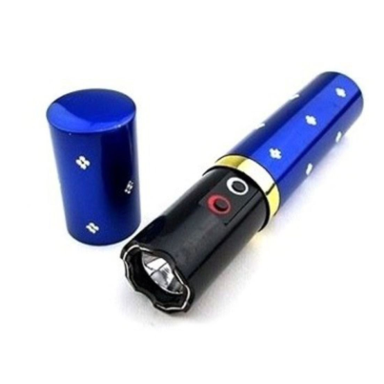 Lápiz labial protector