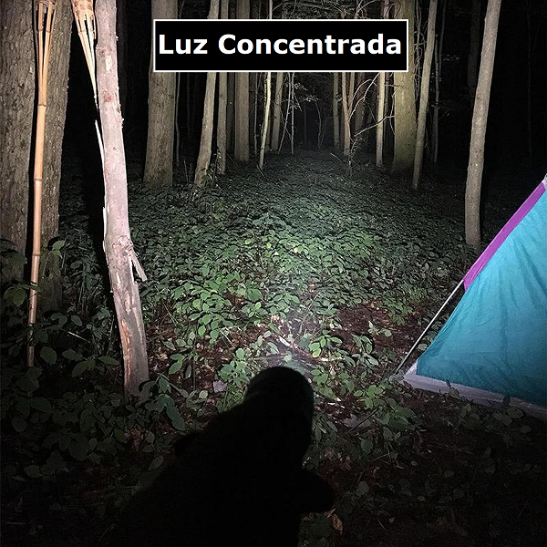 Linterna Doble Luz Led