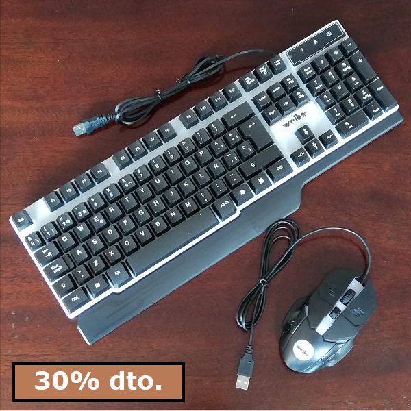 Teclado y mouse Gammer