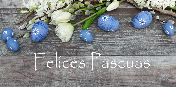 Árbol de navidad en Venecia