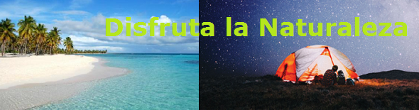 Ofertas de la semana