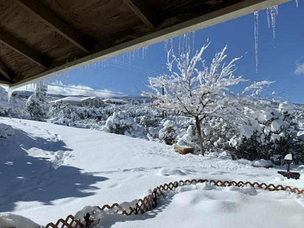 snow!