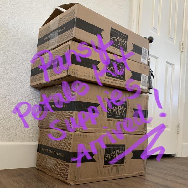 PaNSY PETALS SUITE SAMPLER SUPPLIES HAVE ARRIVED