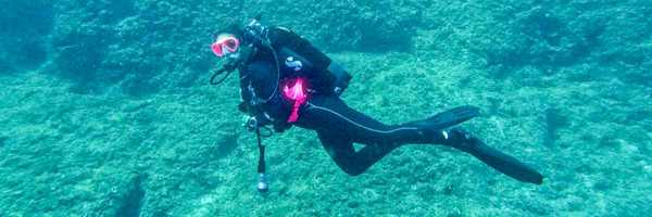 To What Remains - The Story of Project Recover