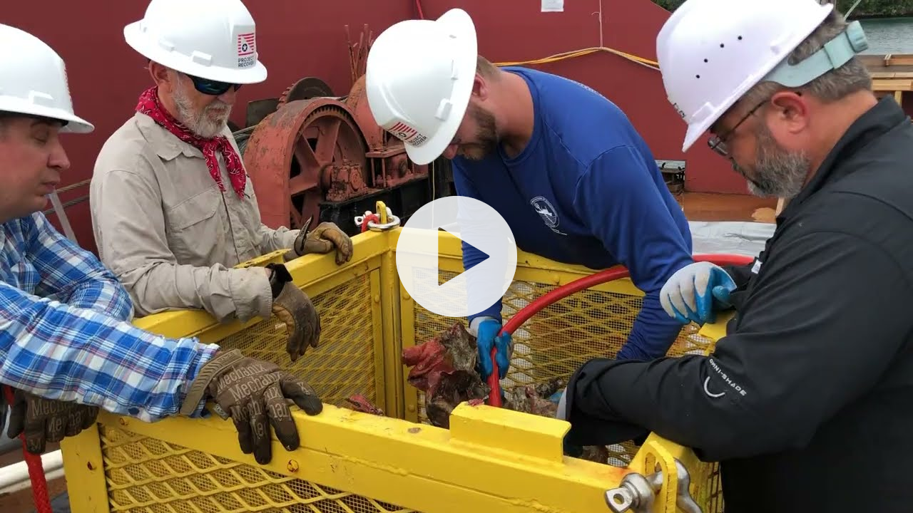 Project Recover INTRO