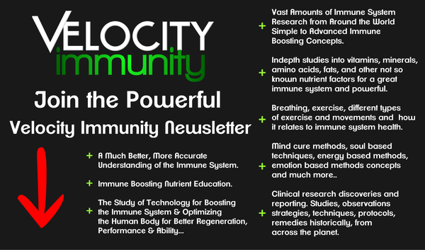 Velocity-Immunity-Newsletter.png