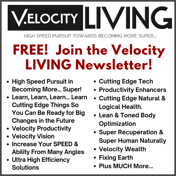 The Velocity Living Newsletter - Image Square.png