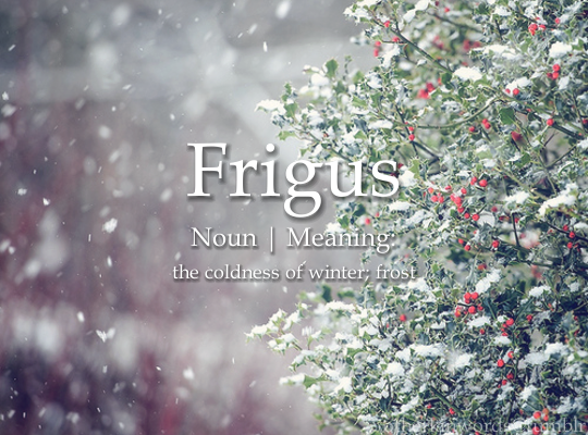 Frigus: the coldness of winter frost
