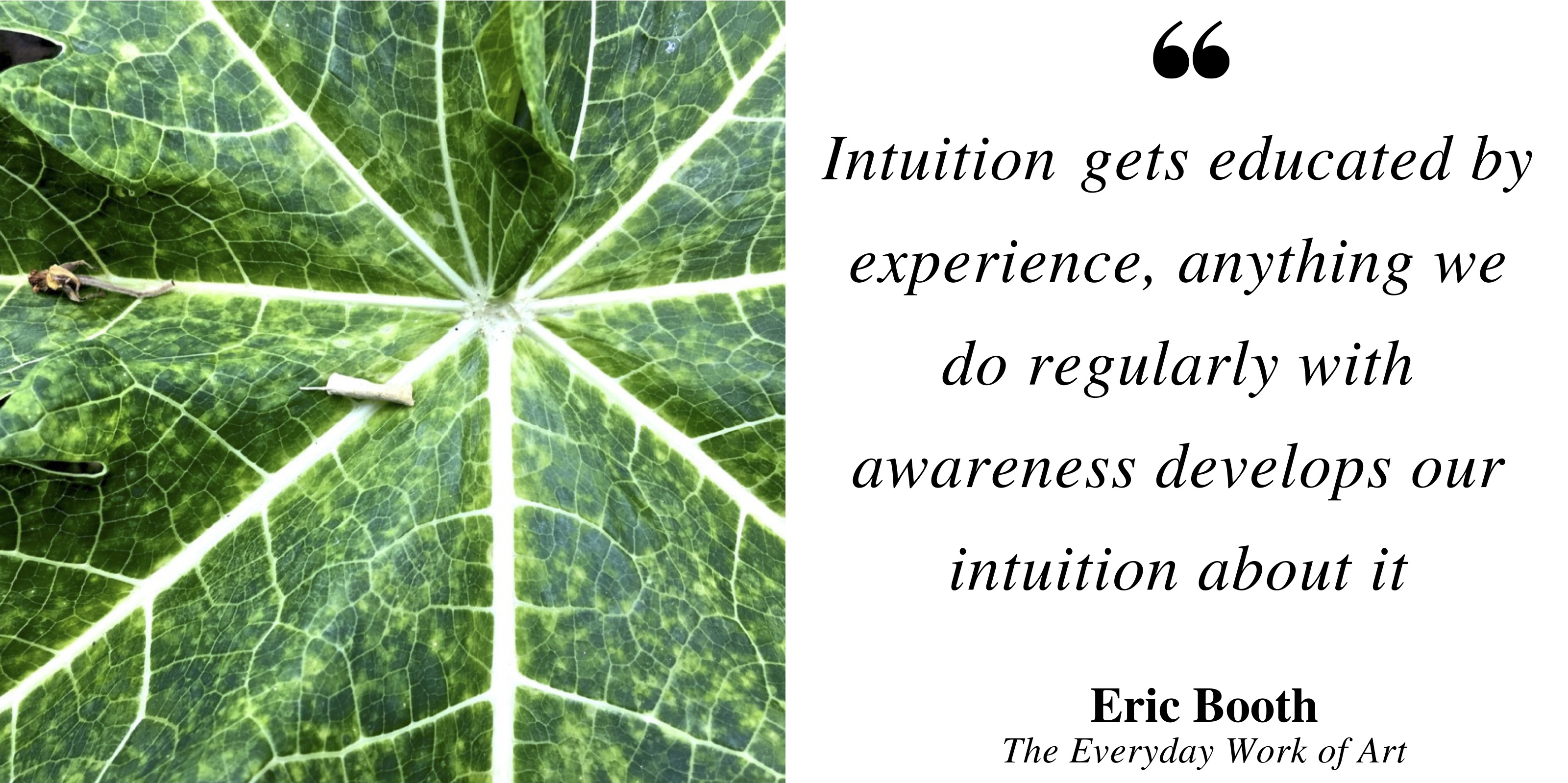 Developing intuition