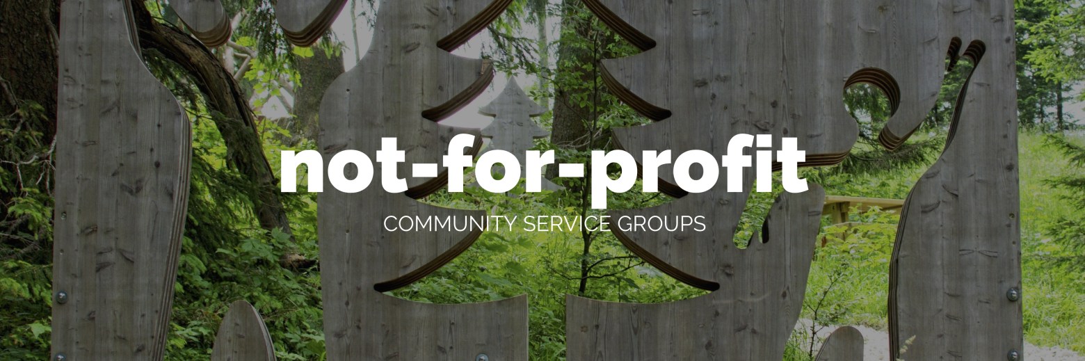 Blogging for non profits and community groups