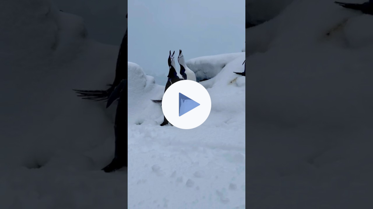 I Went to Antarctica to See It... But I Didn't Expect How It Would Feel