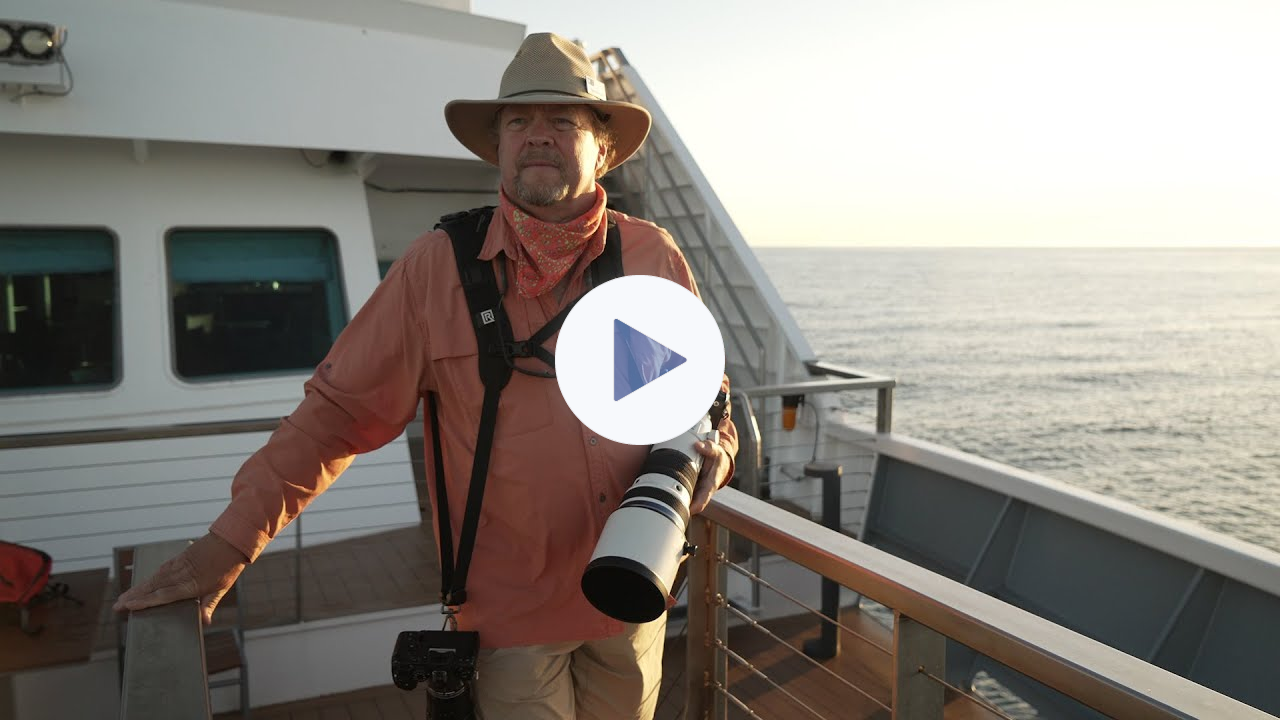 Capturing the Moment in Baja California | Expedition Spotlight | Lindblad Expeditions