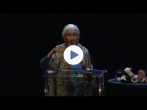 An Evening with Dr. Jane Goodall - Oct 12, 2023 at Meridian Hall, Toronto, ON