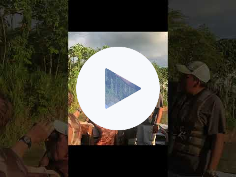 Exploring a Hidden Amazon Tributary at Sunrise | Peru River Cruise