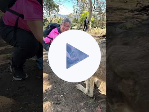I Fed a Kangaroo in Tasmania - This Needs to Be on Your Bucket List! 🦘🇦🇺