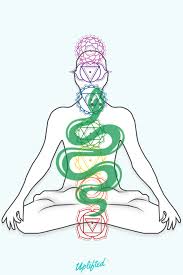 What Is The Kundalini Serpent? Serpent ...