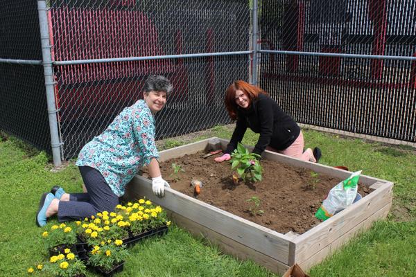 Michelle Perry and Cathy Dombroski planting the garden