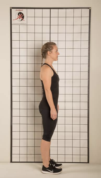 Postural Assessment Grid