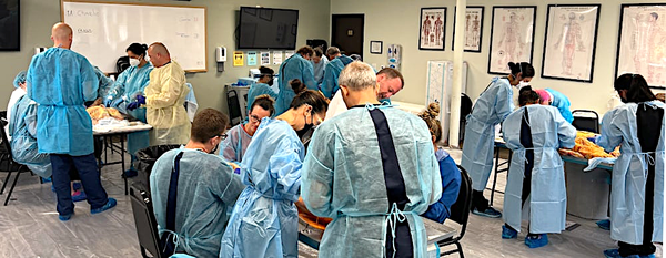 Cadaver Lab session