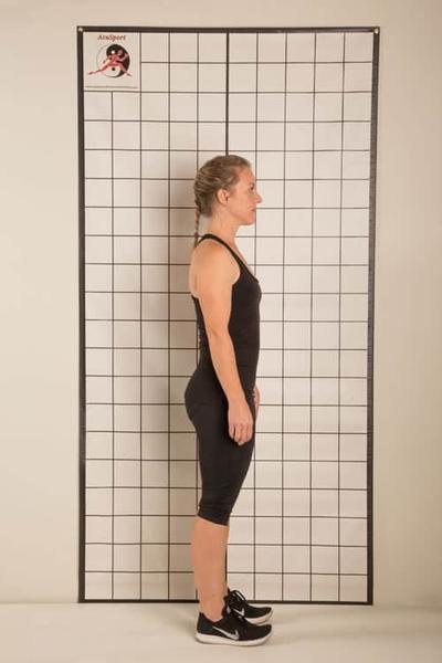 Sports Acupuncture Postural Assessment Grid